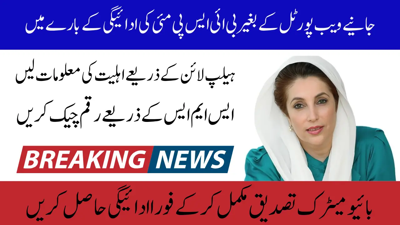 BISP Payment Check Without Portal Offline Method SMS And Helpline Guide